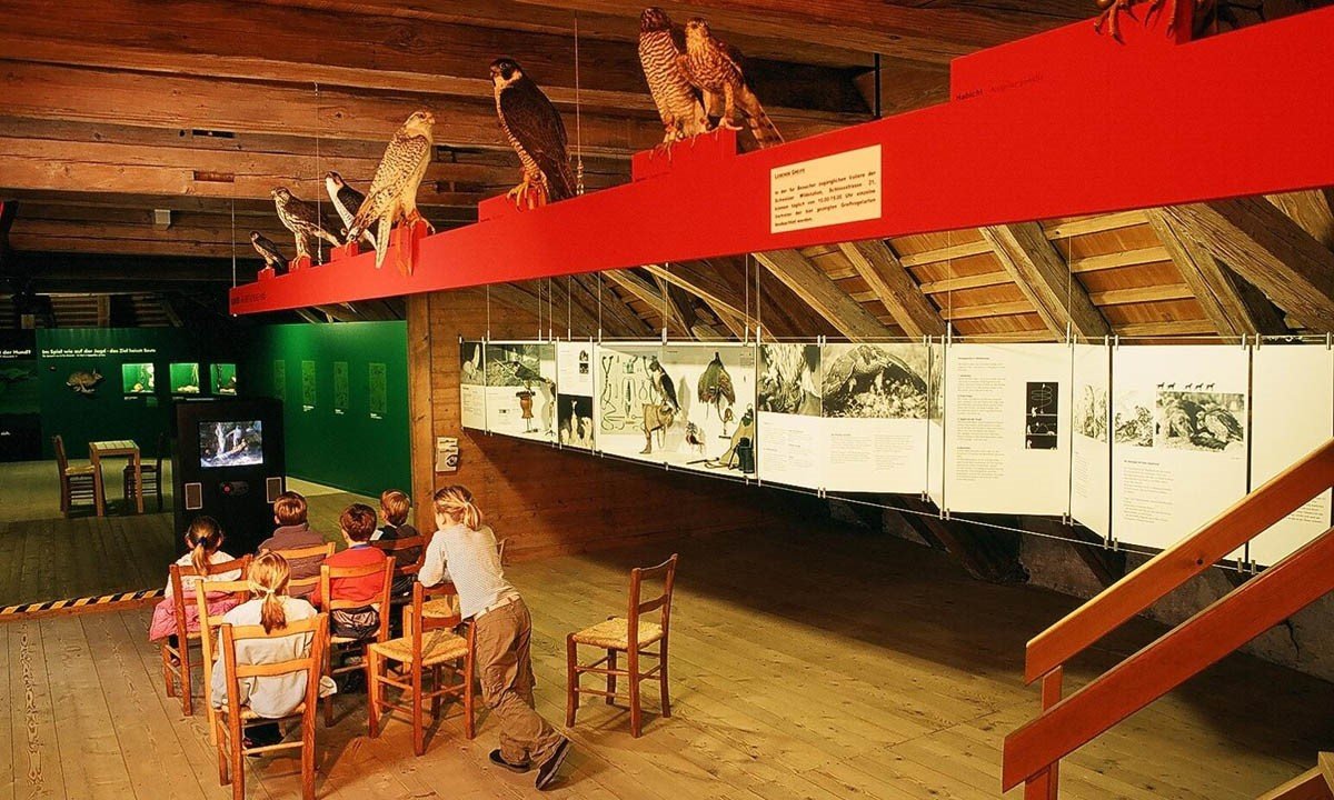 Ausstellung im Jagdmuseum im Schloss Landshut Utzenstorf / Foto: Lisa Schueblin